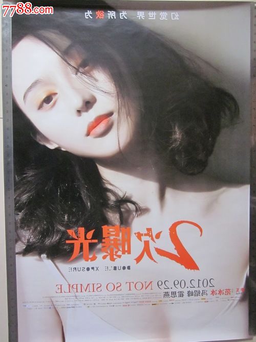 仿制魁北克省驾驶证